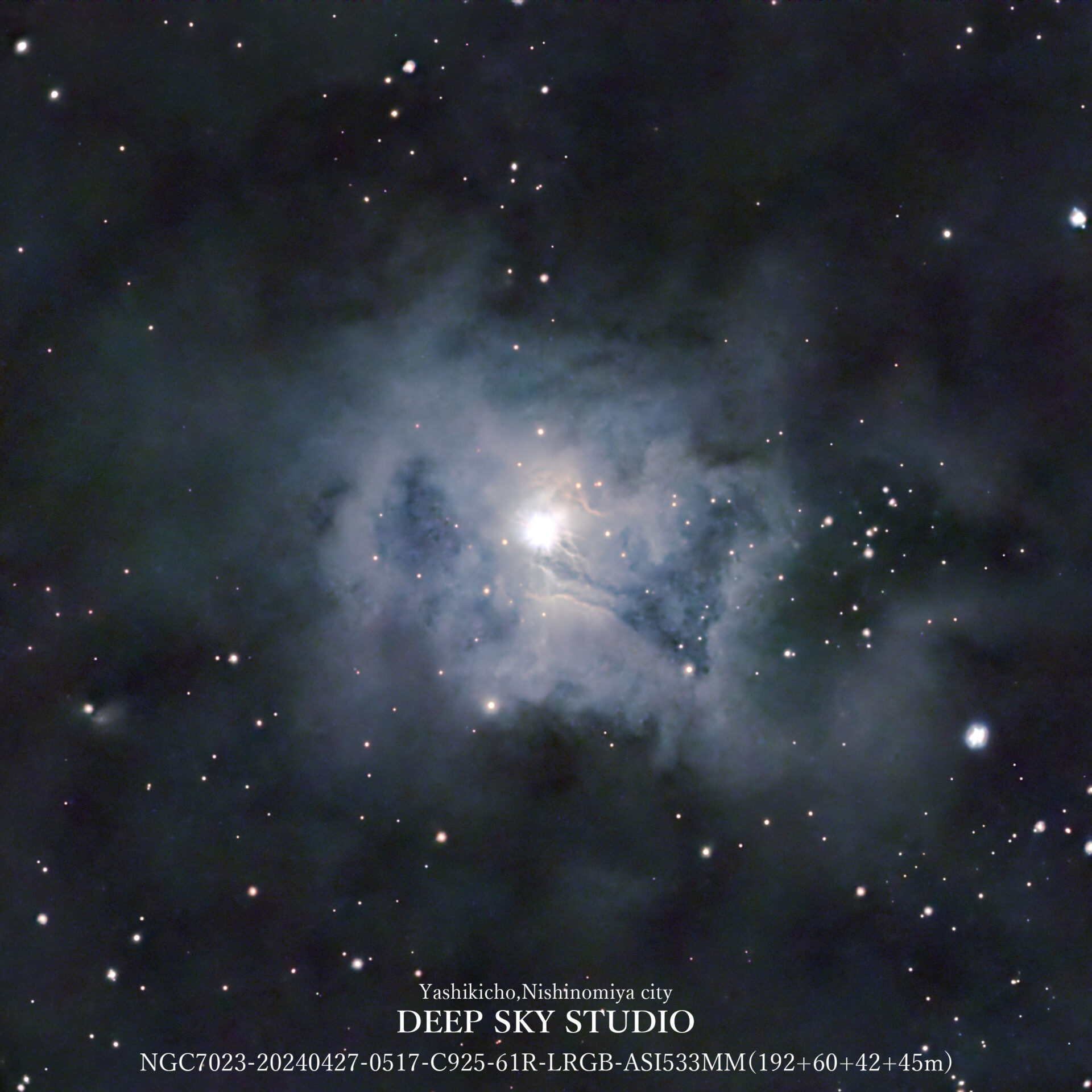 NGC7023（イリス星雲）